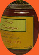 Miele di Castagno